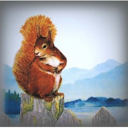 Numéro de rue émaillé décor Ecureuil zoom