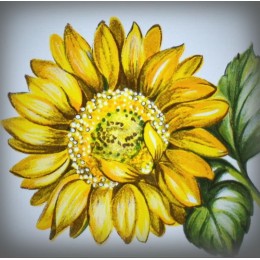 Numéro de rue émaillé décor Tournesol 15x15cm