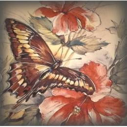 décor papillon rose zoom