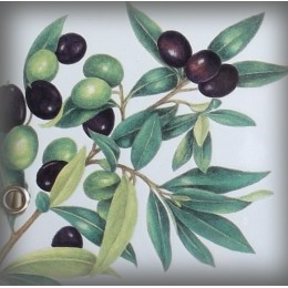 décor Olives en zoom