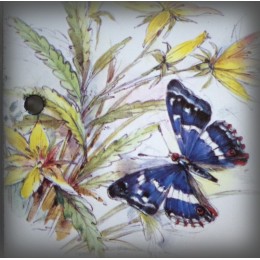 Numéro de rue émaillé décor papillon bleu 15x10cm zoom