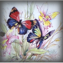 Numéro émaillé décor 2 papillons bleus 15x10cm ZOOM