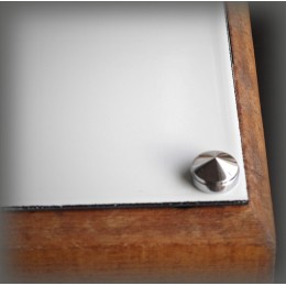 silver colored screw cover