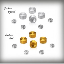 Silver or  gold color Screw cover