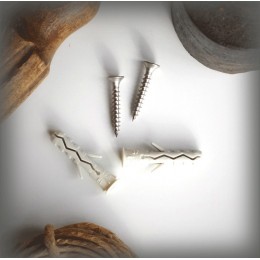 Kit stainless steel screws and plugs